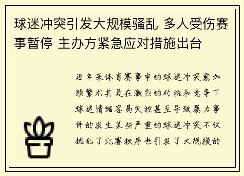 球迷冲突引发大规模骚乱 多人受伤赛事暂停 主办方紧急应对措施出台